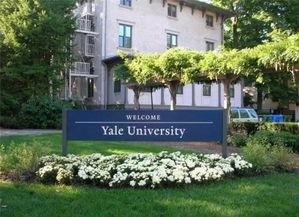 娱乐吃瓜酱耶鲁大学